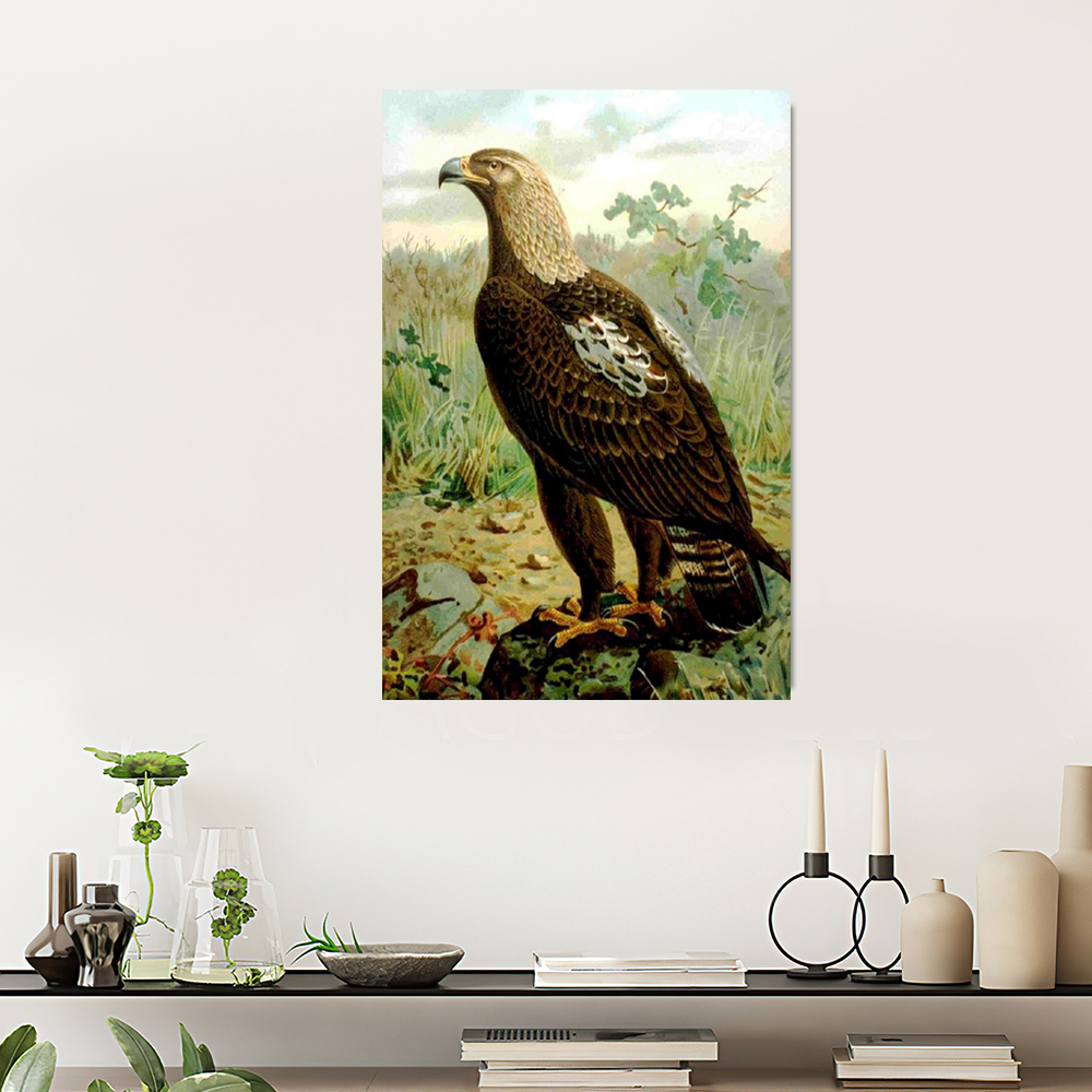 Painting by numbers parked eagle painting decor