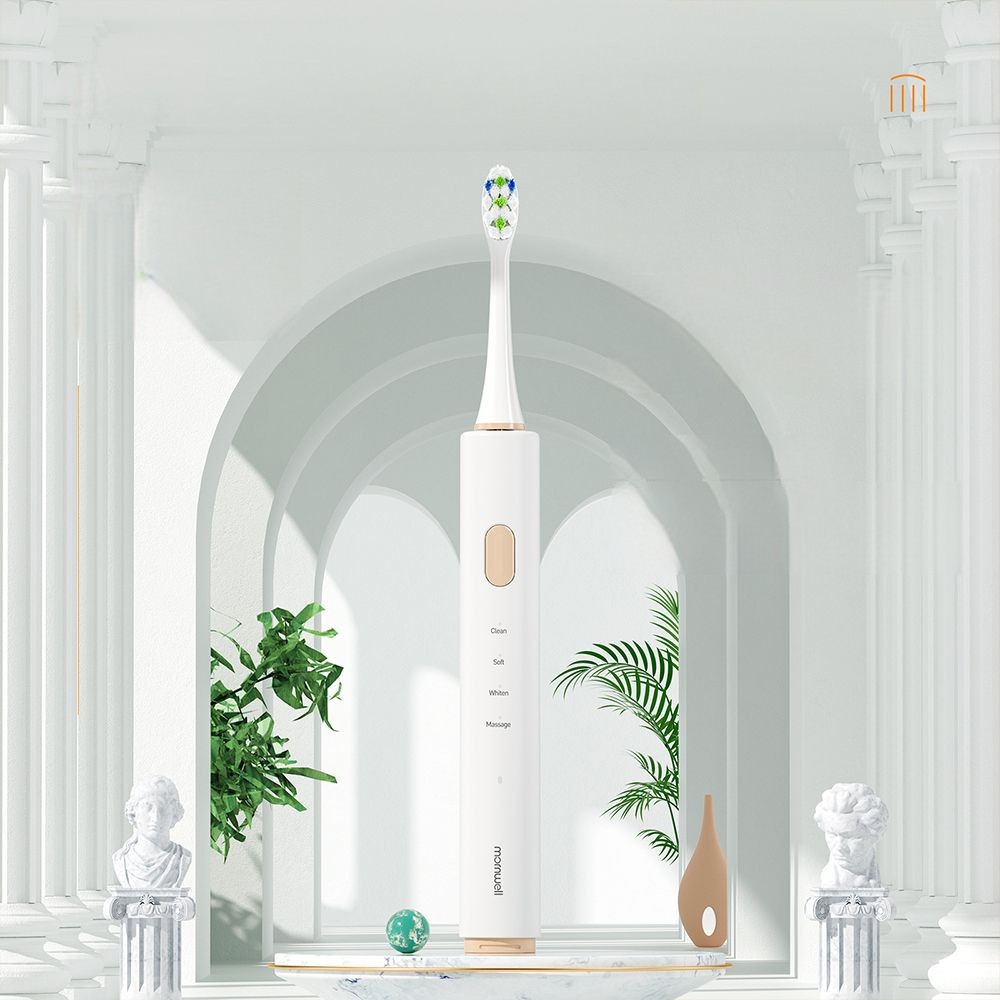 CE/FCC/FDA Certified Toothbrush with 650mAh Battery and USB Type-C Charging | 31000VPM | 30-Day Battery Life | 4 Working Modes